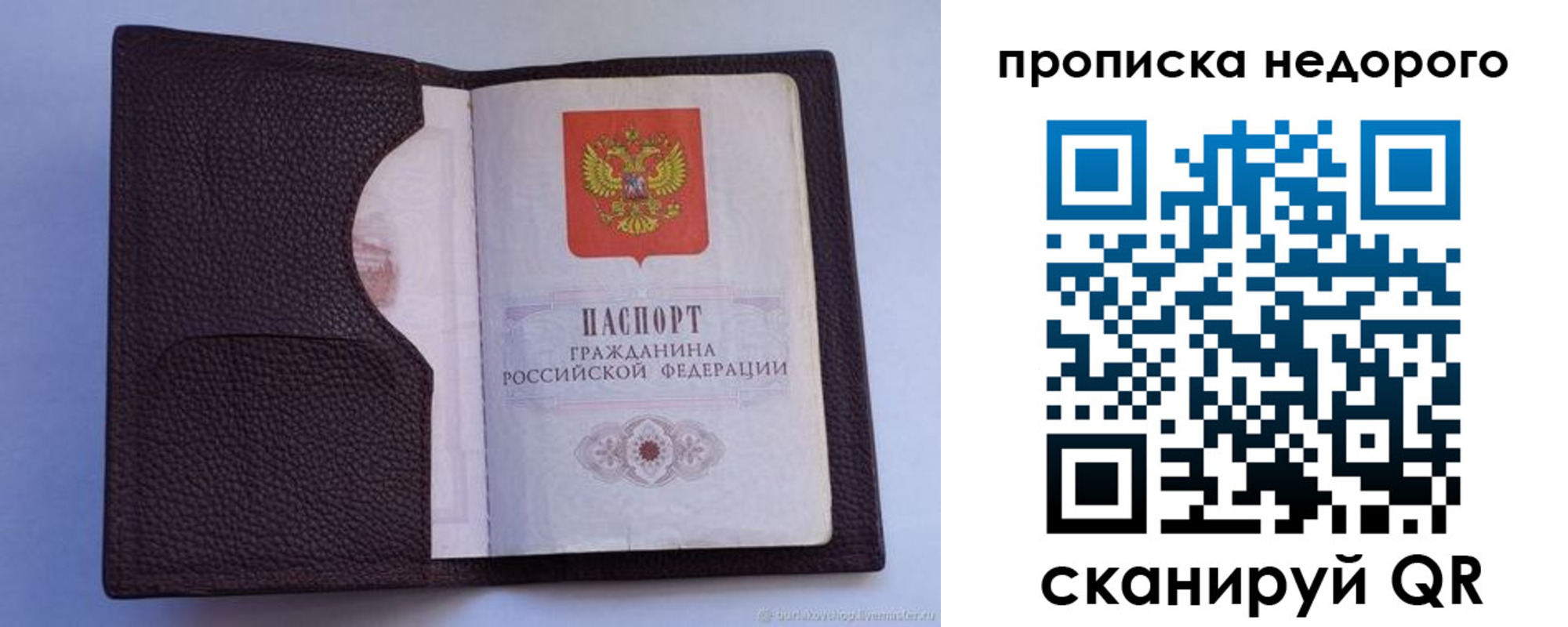 прописка законно в Каргополе